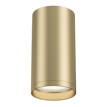 Потолочный светильник Technical C052CL-01MG