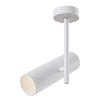 Потолочный светильник Technical C020CL-01W