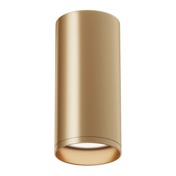 Потолочный светильник Technical C010CL-01MG