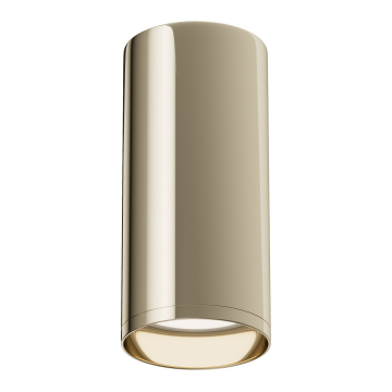 Потолочный светильник Technical C010CL-01G