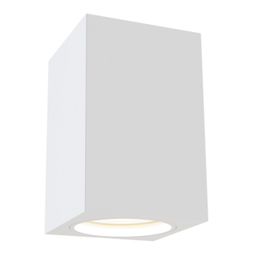 Потолочный светильник Technical C011CL-01W