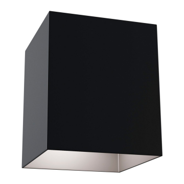 Потолочный светильник Technical C015CL-01B