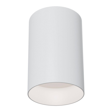 Потолочный светильник Technical C014CL-01W