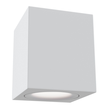 Потолочный светильник Technical C013CL-01W