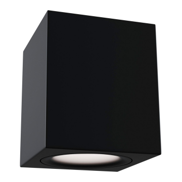 Потолочный светильник Technical C013CL-01B