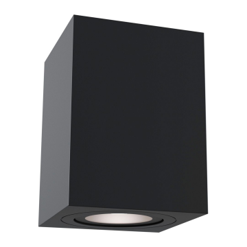 Потолочный светильник Technical C017CL-01B