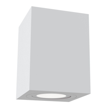 Потолочный светильник Technical C017CL-01W