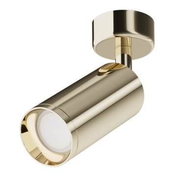 Потолочный светильник Technical C017CW-01G