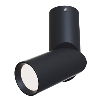 Потолочный светильник Technical C027CL-L10B