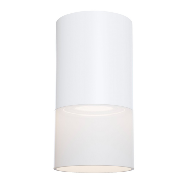 Потолочный светильник Technical C007CW-01W