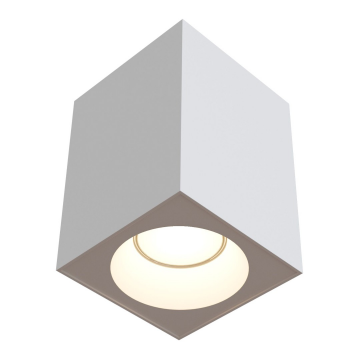 Потолочный светильник Technical C030CL-01W