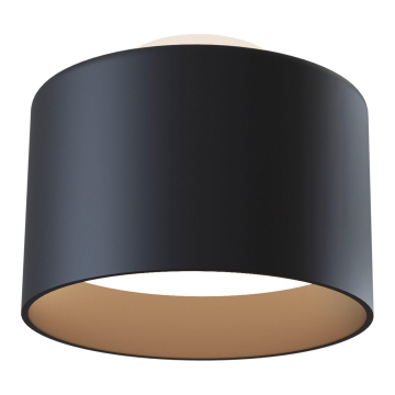 Потолочный светильник Technical C009CW-L16B