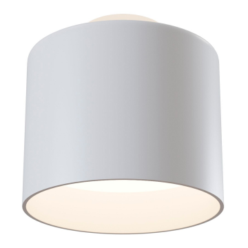 Потолочный светильник Technical C009CW-L12W