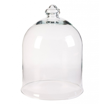 Колпак для цветов Agatha vase