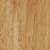 WS01
